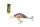 SALMO WOBBLER RATTLIN HORNET H4.5F HUT