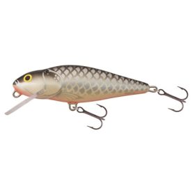 SALMO WOBBLER PERCH PH8F GT