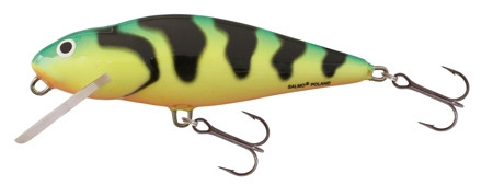 SALMO WOBBLER PERCH PH8F HGS