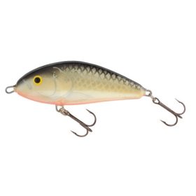 SALMO WOBBLER FATSO F10S RR