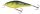 SALMO WOBBLER EXECUTOR IEX5SRF RHP