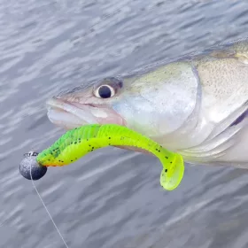 REIVA Zander Power Shad 10cm 4db/cs (4szín)