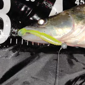 REIVA Zander Power Shad 12,5cm 3db/cs (Japanese Red)