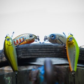 REIVA Pro Minnow 4.5cm 4.3g (Silver Tiger)