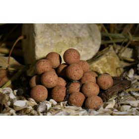 BALATON BAITS P3 SQUID TUNA balanced hookbaits 20MM 150g