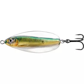 LIVETARGET ERRATIC SHINER SPOON GOLD/GREEN60 MM 14 G