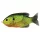 LIVETARGET SUNFISH WALKING BAIT FLORESCENT PUMPKINSEED 75 MM 12 G