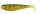 Fox Rage Zander Pro Shads Natural Perch - 7.5cm