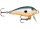 RAPALA MINI FAT RAP MFR03 ORSD1