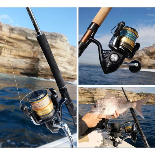 Shimano Reel Socorro 6000 SW