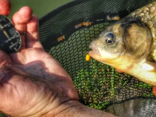 TOPMIX MagicCorn 3 x 25db, Csoki-Narancs